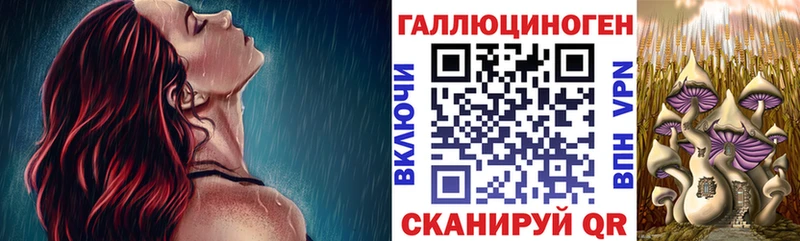 Галлюциногенные грибы Cubensis Кудрово
