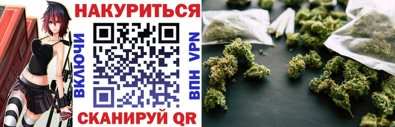 где можно купить наркотик  Кудрово  Канабис MAZAR 